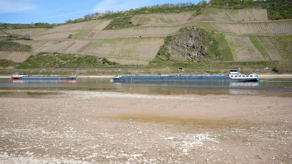 Die Schiffe können wegen der niedrigen Wasserständen weniger Ladung transportieren. Foto: Thomas Frey/dpa