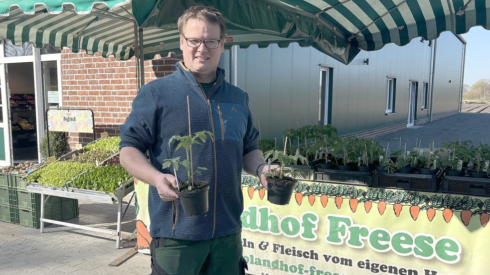 Heiko Freese steht vor einem Verkaufstand, der vor seinem neuen Hofladen in Rhaudermoor steht. Dort bietet er unter anderem Tomatenpflanzen an. Zum Wochenmarkt nach Aurich fährt der Landwirt nicht mehr. Foto: Zein