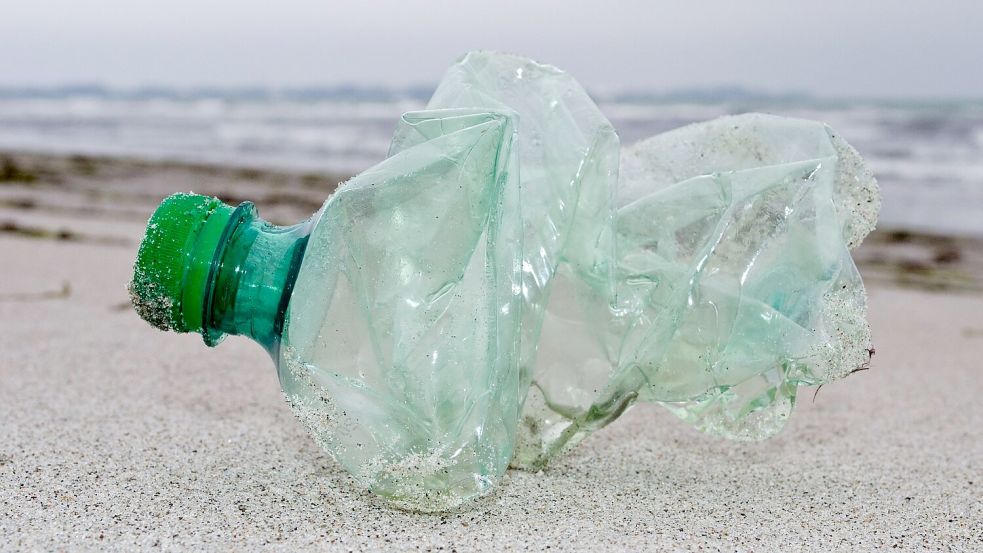 Angesichts von Klimawandel, Artensterben und Umweltproblemen weist ein Bericht der Vereinten Nationen auf Möglichkeiten der Veränderung sowie tiefe Ursachen von globalen Problemen hin. Foto: Stefan Sauer/dpa-Zentralbild/dpa