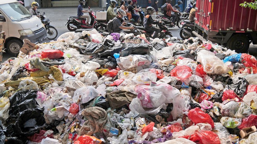 Angesichts von Klimawandel, Artensterben und Umweltproblemen weist ein Bericht der Vereinten Nationen auf Möglichkeiten der Veränderung sowie tiefe Ursachen von globalen Problemen hin. (Archivbild) Foto: Dita Alangkara/AP/dpa