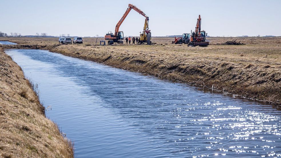 Viele Wasserläufe werden inzwischen wieder renaturiert - unter anderem, um Überschwemmungen vorzubeugen. (Archivbild) Foto: Jens Büttner/dpa