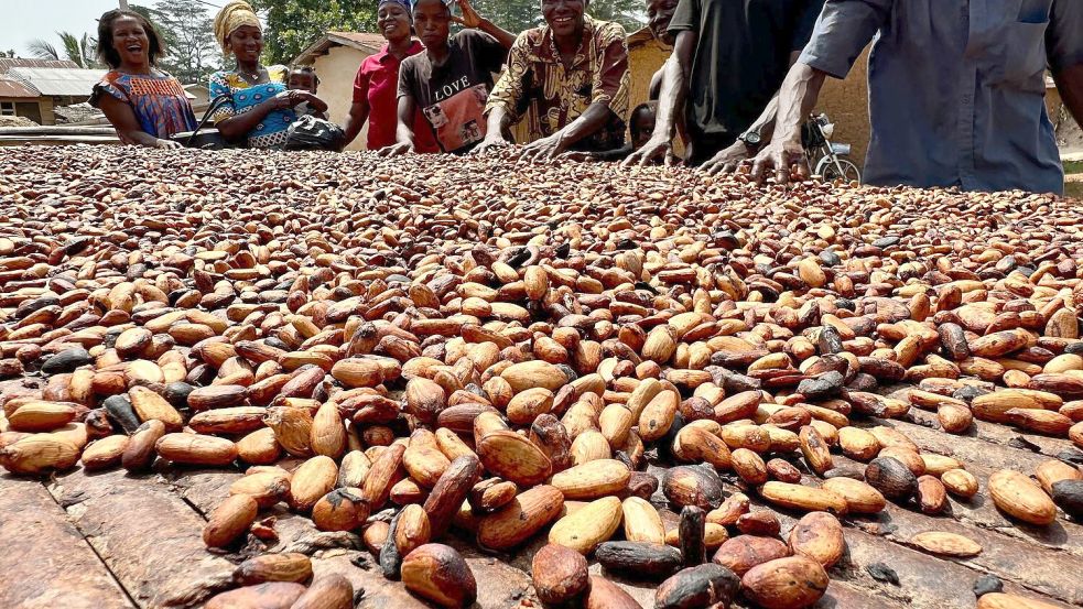 Rund 80 Prozent des Kakaos in Deutschland kommt aus der Elfenbeinküste und Ghana. Foto: Christina Peters/dpa