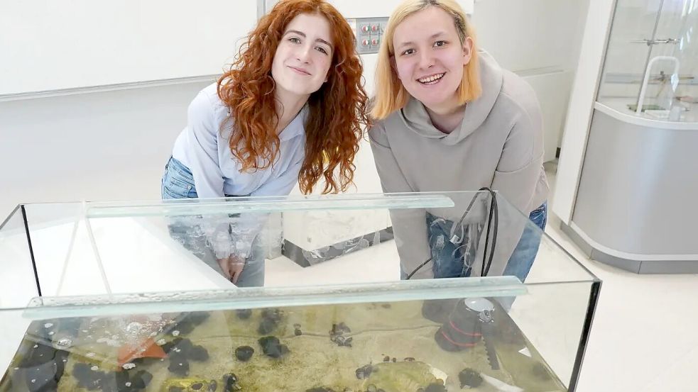 Erfolgreiche Nachwuchsforscherinnen: Julia Lenger aus Papenburg (links) und Leila Jürß aus Ostrhauderfehn hinter ihrem Schau-Aquarium im Mariengymnasium. Foto: Schade