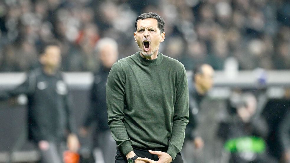 Muss mit der Eintracht weiter auf ein großes Finale warten: Dino Toppmöller. Foto: Uwe Anspach/dpa