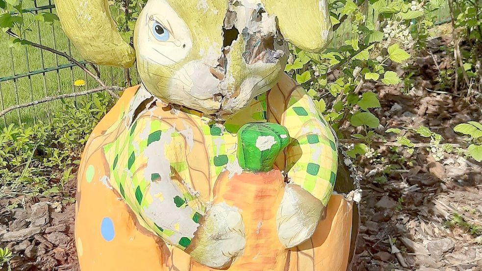 Eine Waschbärin hat sich einen Osterhasen als sicheren Ort für ihre Jungen ausgesucht. Foto: Walter Röder/dpa