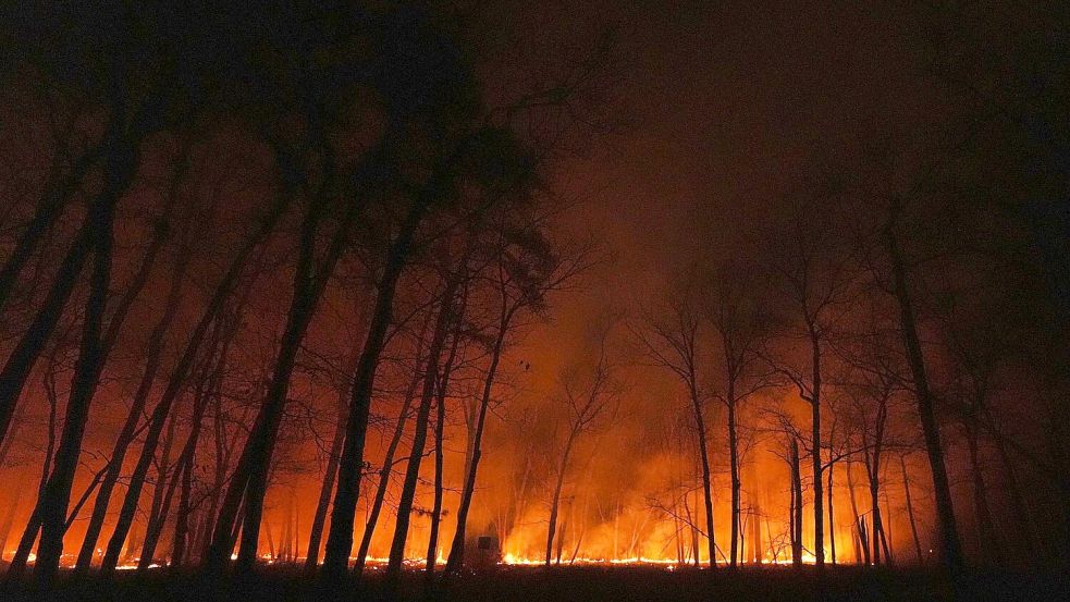 Seit dem Ausbruch des Waldbrandes in New Jersey am Dienstagmorgen breiten sich die Flammen schnell aus. Foto: Chris Szagola/AP/dpa