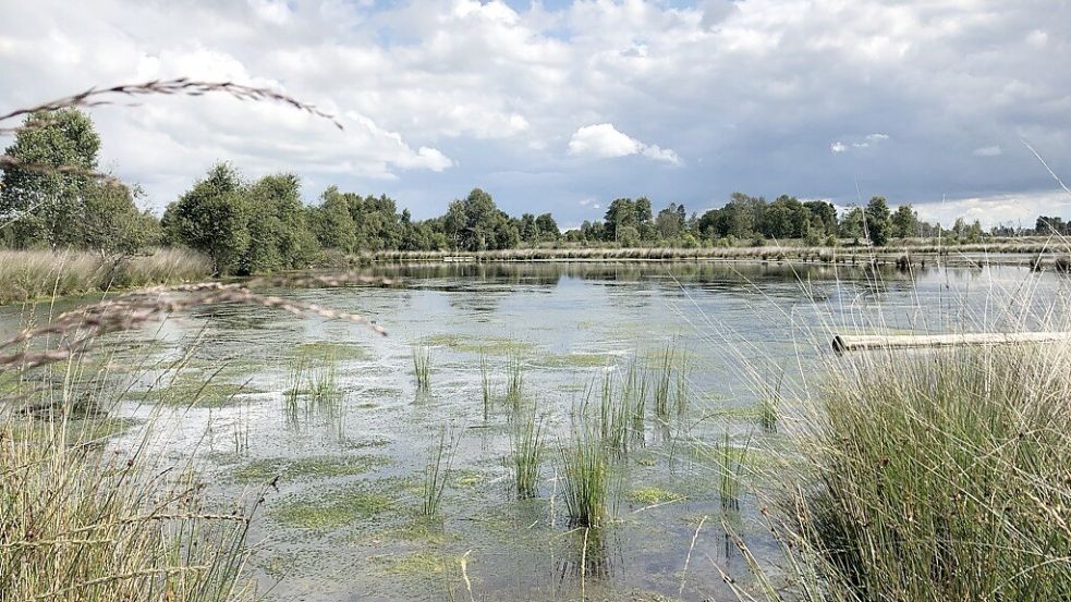 Viel Natur gibt es unter anderem im Ortsteil Aschendorfermoor. Foto: Hellmers