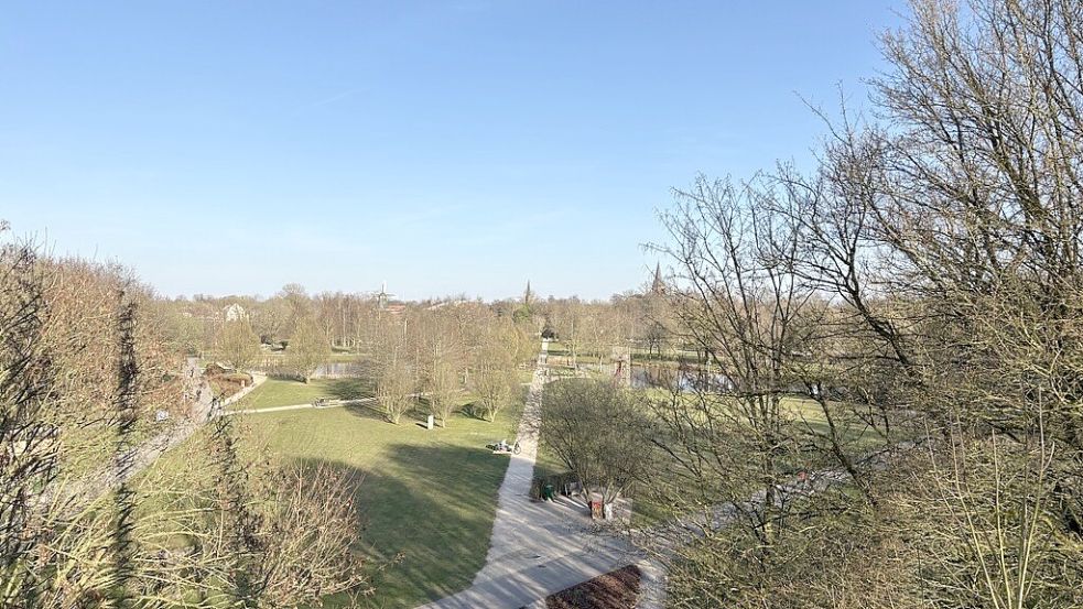 Vom Baumwipfelpfad hat man einen Überblick auf den Stadtpark. Foto: Hellmers