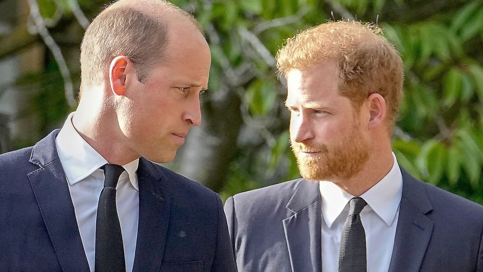 Ein seltenes Bild: Die beiden Royal-Brüder William (l.) und Harry auf einem Foto. (Archivbild) Foto: Martin Meissner/AP/dpa