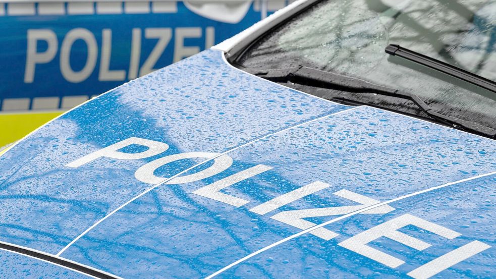 Die Kinder starben trotz aller Hilfe an der Unfallstelle. (Symbolbild) Foto: Soeren Stache/dpa