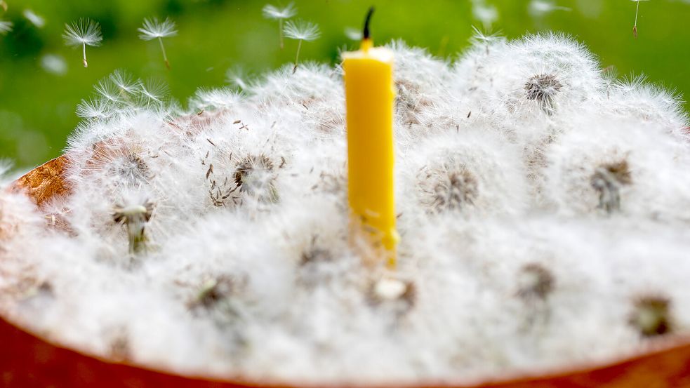 Sieht er so aus, der Pustekuchen? In Wirklichkeit meint das Wort etwas ganz anderes. Foto: Verena Hanke/imago