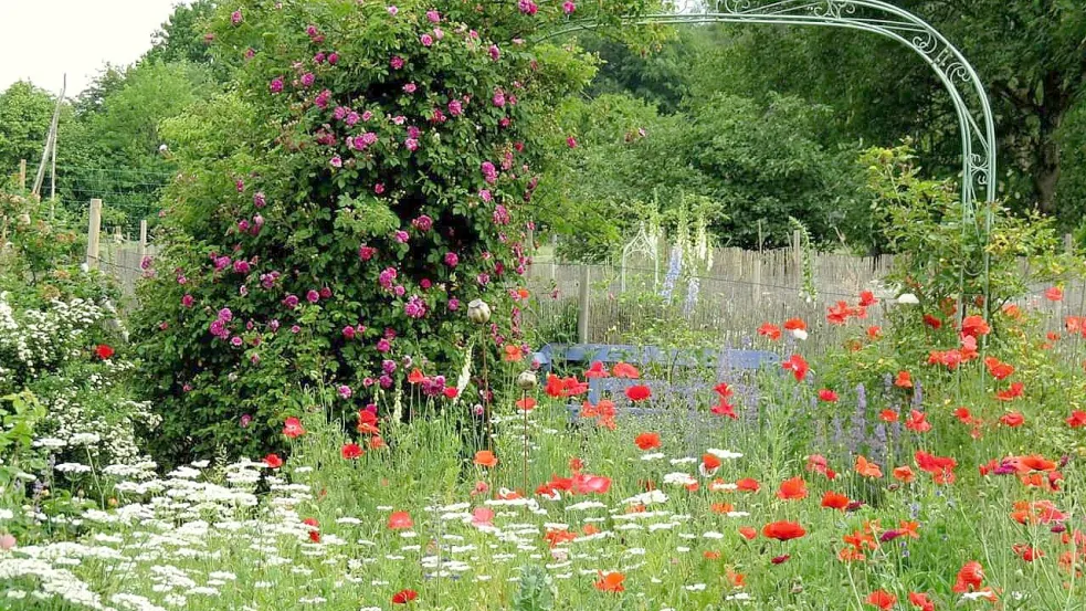 Der Latüt-Garten kann besichtigt werden. Bild: privat