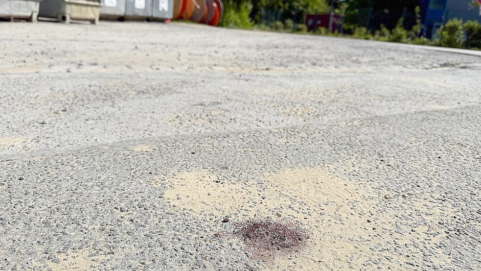Ein Blutfleck auf dem Asphalt am Tatort lässt erahnen, was sich hier abgespielt haben könnte Foto: Alex Talash/dpa