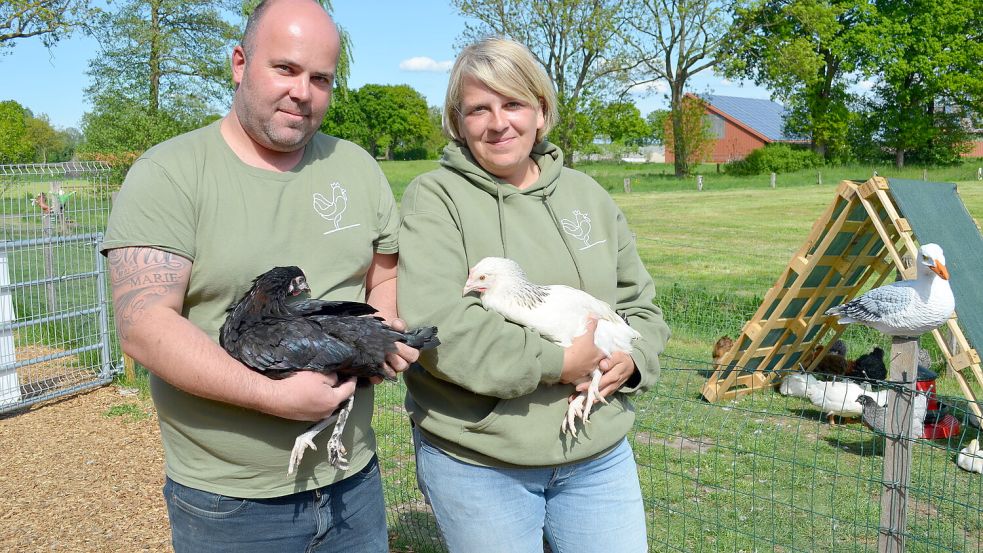 Björn Striethorst und Marny Rötzel betreiben auf einem Hof in Backemoor „Geflügel Ostfriesland“. Sie bieten dort Hühner, Enten, Gänse und anderes Geflügel an, das Geflügelwirt Striethorst in seinem Betrieb im westfälischen Paderborn heranzieht. Foto: Fertig