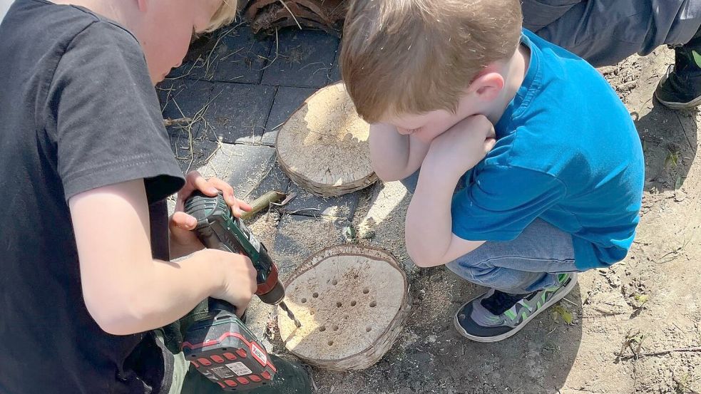 Beim Familientag vom Landwirtschaftlichen Dorfverein (LDV) in Völlenerkönigsfehn wurden Insektenhotels gebaut. Foto: Ilka Strohschnieder