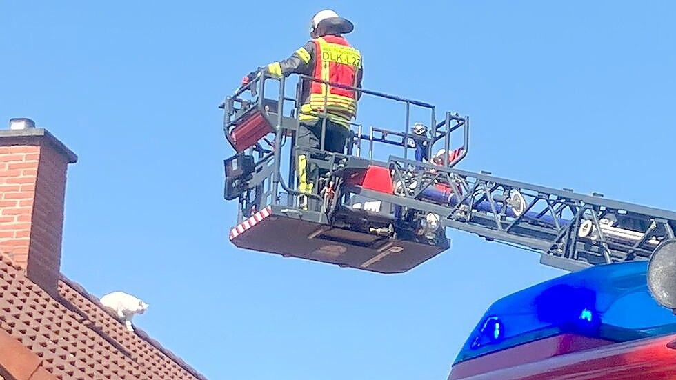Die Feuerwehr Westrhauderfehn rettete eine Katze vom Dach. Foto: Feuerwehr Westrhauderfehn
