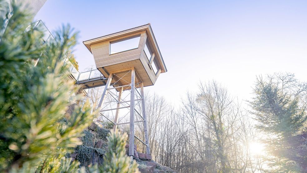 Übernachtungen in Baumhäusern reizen immer mehr Menschen. Auch in Deutschland gibt es einige Optionen, wie diese in Zavelstein im Schwarzwald. Foto: IMAGO/imagebroker