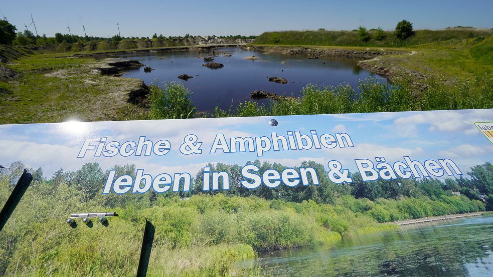 Infotafeln stehen für Besucher bereit. Sie zeigen auf, welche Tiere und Pflanzen es gibt – und in Zukunft geben soll. Foto: Mirco Moormann