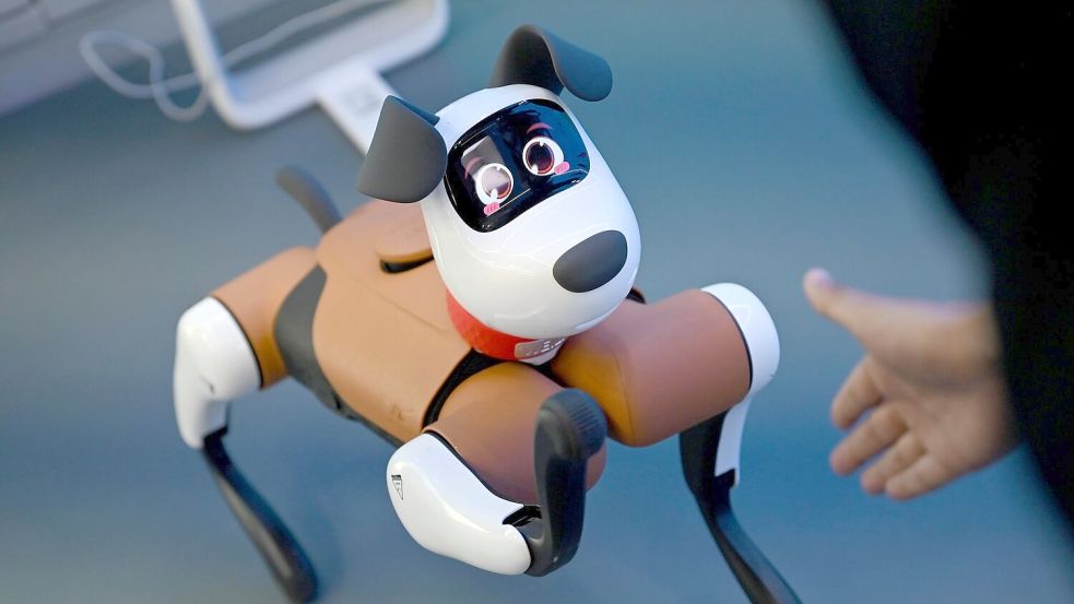 Roboter-Hunde tauchen bereits gelegentlich im Straßenbild chinesischer Großstädte auf. Foto: Johannes Neudecker/dpa