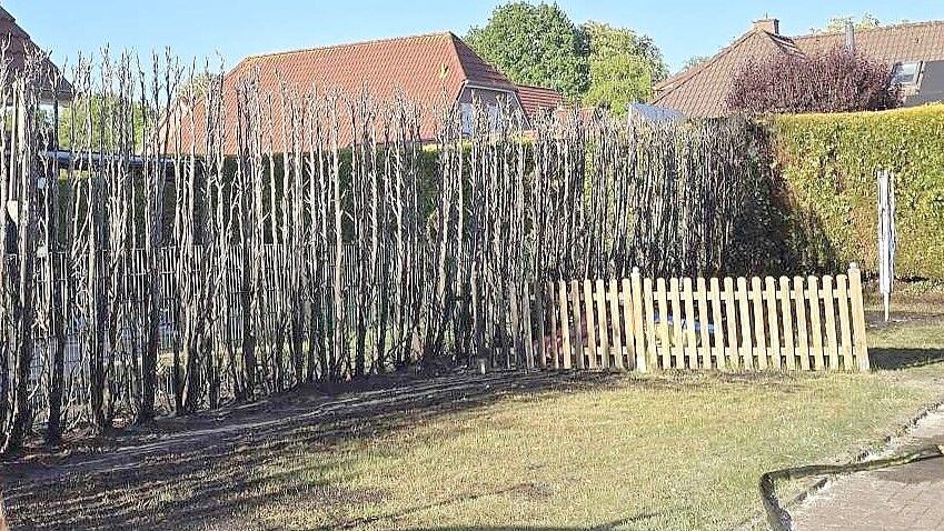 Die Hecke wurde durch das Feuer zerstört. Foto: Privat