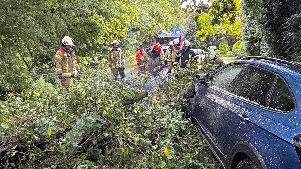 Der Fahrzeugführer war gegen einen umgekippten Baum gefahren. Die Feuerwehr Ramsloh war schnell vor Ort und schnitt den Baum mit Hilfe von Kettensägen klein und entfernte ihn von der Straße. Foto: Feuerwehr: Thomas Giehl