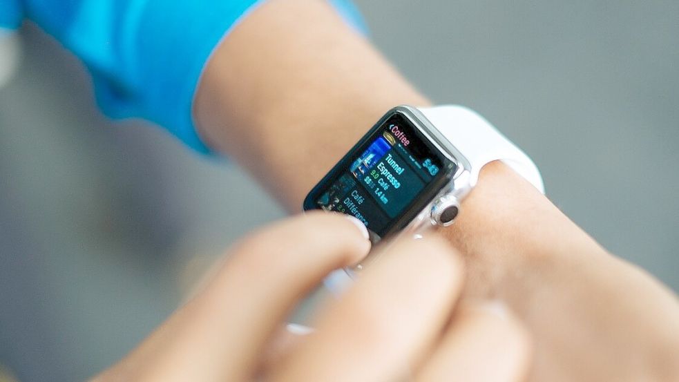 Der Gebrauch einer Smartwatch ist in der Schule am Wolfsmeer nur für die Uhrzeit genehmigt. Foto: pixabay