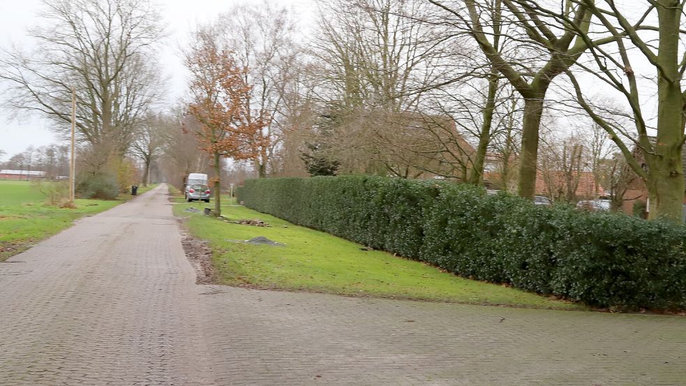 In diesem Bereich in Harkebrügge passierte am 7. Dezember 2024 der schwere Jagdunfall. Foto: Passmann