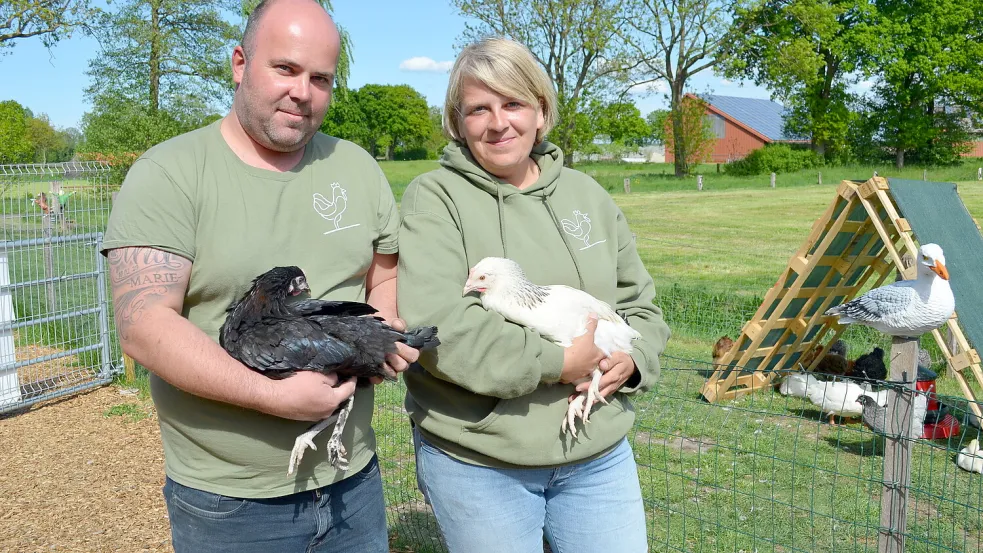 Björn Striethorst und Marny Rötzel betreiben auf einem Hof in Backemoor „Geflügel Ostfriesland“. Sie bieten dort Hühner, Enten, Gänse und anderes Geflügel an, das Geflügelwirt Striethorst in seinem Betrieb im westfälischen Paderborn heranzieht. Foto: Fertig