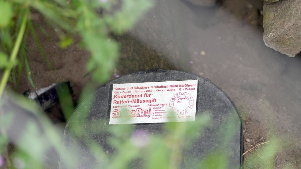 Nach EU-Recht ist Rattengift in Ausnahmefällen für begrenzte Dauer erlaubt (Archivbild). Foto: Soeren Stache/dpa