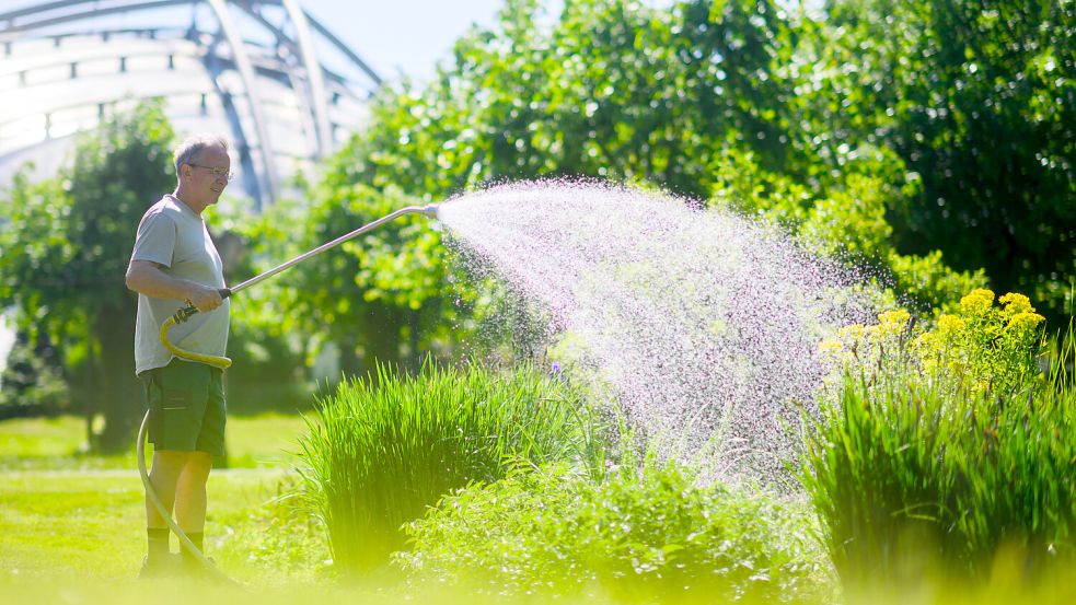 Professionelle Gartengestaltung kostet zwischen 40 und 100 Euro pro Quadratmeter, lässt sich aber durch geschickte Eigenleistung deutlich reduzieren. Foto: Julian Stratenschulte/dpa