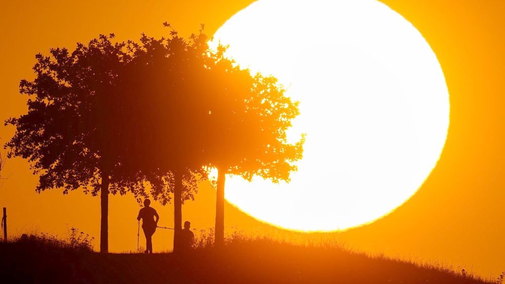 Hitze in Deutschland: Tage mit extremer Belastung werden häufiger. Foto: Julian Stratenschulte/dpa