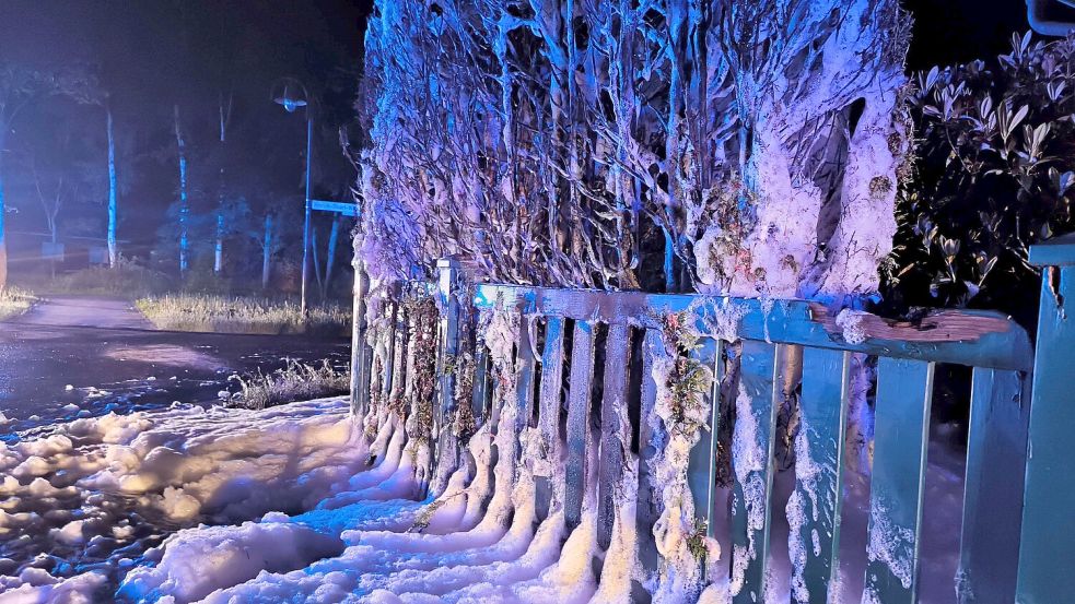 Bei dem Brand wurde die Hecke auf einer Länge von rund 20 Metern durch die Flammen zerstört. Auch ein Holzzaun wurde beschädigt. Foto: Daniel Grüneke