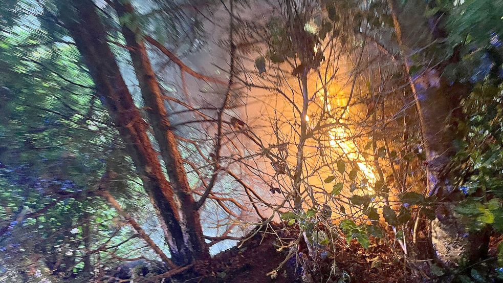 Am Dienstagabend, 27. Mai 2025, brannte es am Wanderweg erneut. Foto: Feuerwehr