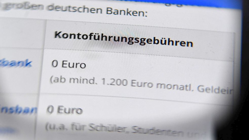 Unzlässige Gebühren können zurückverlangt werden - eine gewisse Zeit lang. Foto: Jens Kalaene/dpa-Zentralbild/dpa