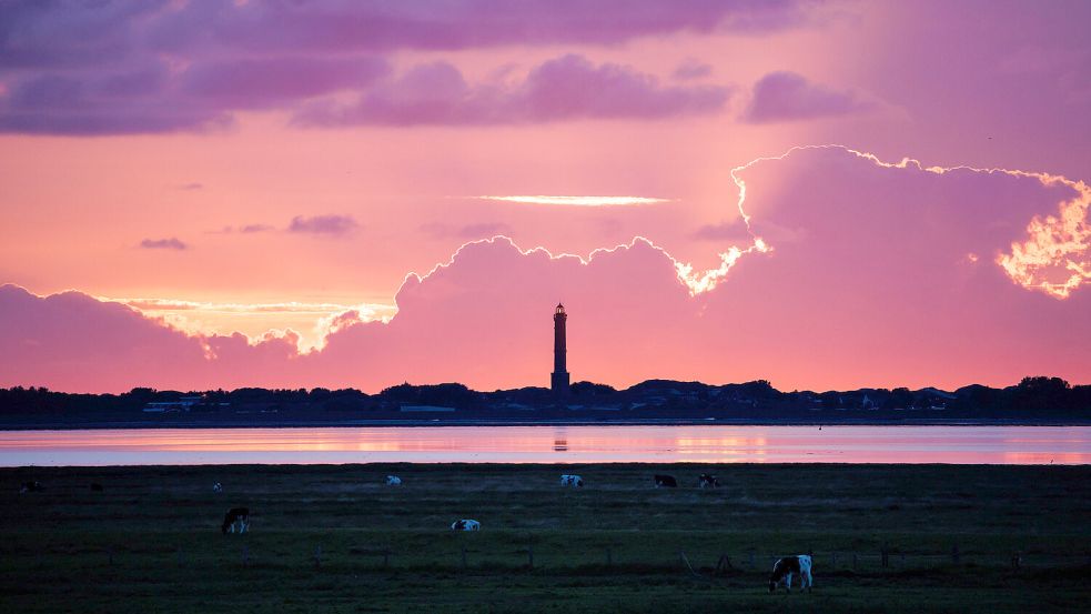 Kühe grasen auf den Salzwiesen vor der Nordsee, während hinter dem Leuchtturm von Norderney die Sonne untergeht. Foto: Matthias Balk/dpa