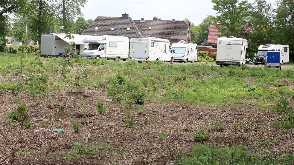 Auf dieser gerodeten Fläche, wo eigentlich ein zusätzlicher Wohnmobilstellplatz geplant war, möchte der Barßeler Geschäftsmann jetzt ein Hotel bauen. Foto: Hans Passmann