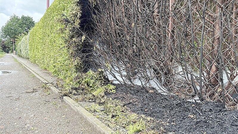 Die Hecke wurde mit Schaum gelöscht. Foto: Dirk Hellmers