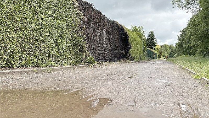 Die Schäden an der Hecke sind am Tag darauf noch deutlich zu sehen. Foto: Dirk Hellmers