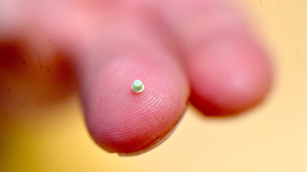 Das kleinste Teil, was bei LMB Kunststofftechnik hergestellt wird, ist 1,3 Millimeter groß. Foto: Klaus Ortgies/Archiv