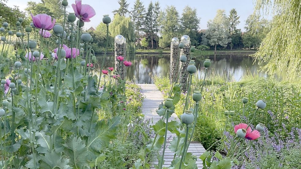 Das Foto zeigt ein Teichufer im Garten der Familie Meinhard in Ostrhauderfehn. Stauden blühen ringsum und gemütliche Sitzplätze laden zum Verweilen ein. Foto: Klaus Meinhard