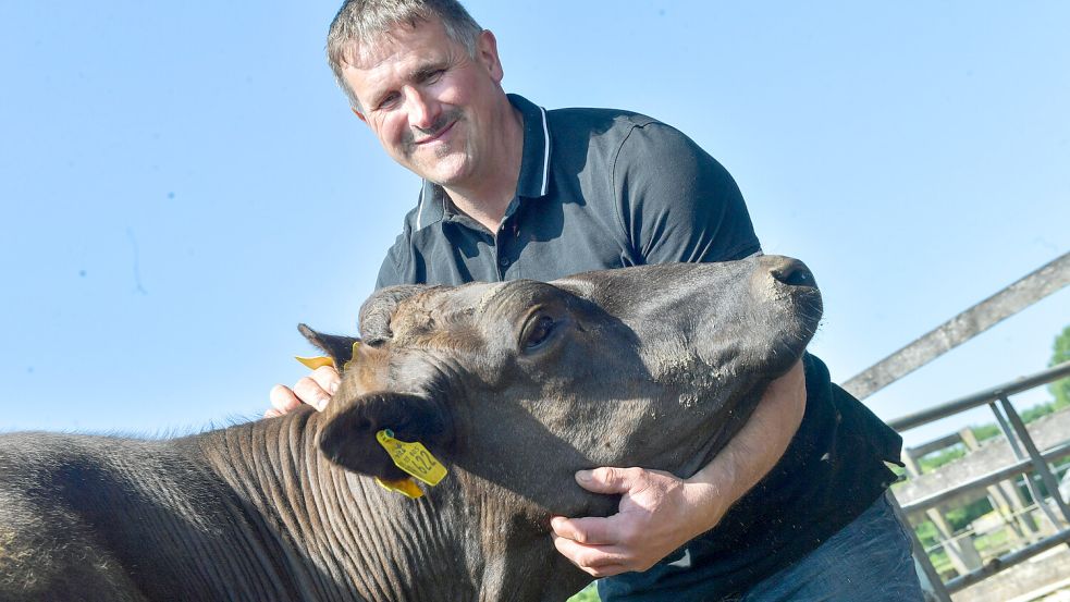 Hans-Joachim von Dankelmann hat eine besondere Verbindung zu den Tieren. Die Rinder werden meist mit der Flasche aufgezogen, weil die Milch ihrer Mütter nicht ausreicht. Foto: Klaus Ortgies