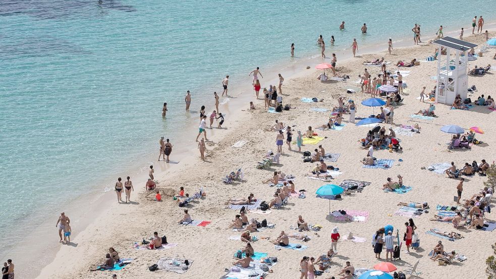 Mallorca bleibt beliebt – doch viele Tui-Urlauber zieht es im Winter verstärkt in die Ferne. (Archivbild) Foto: Clara Margais/dpa