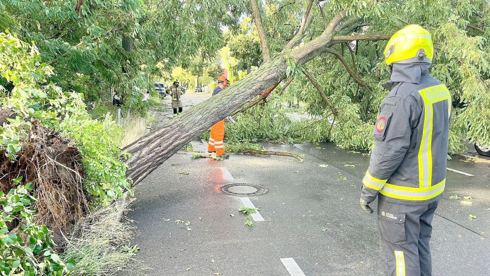 Am späten Nachmittag und Abend ziehen Unwetter über Teile Deutschlands. Foto: Jens Dudziak/dpa