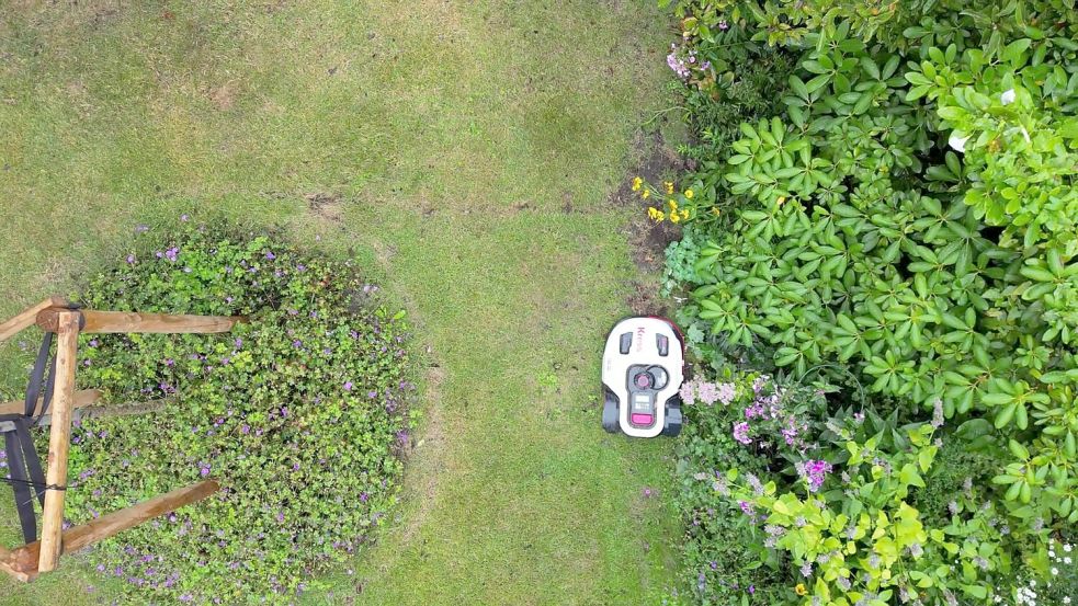 Naturschützer warnen davor, dass Mähroboter eine Gefahr sein können - vor allem für nachtaktive Tiere. (Symbolbild) Foto: Sascha Thelen/dpa