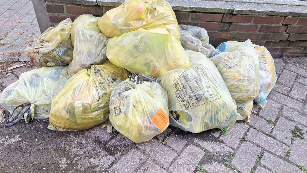 Die Mühe, diese Säcke an der Süderstraße in Weener korrekt zu sortieren, haben sich die Anwohner nicht gemacht. Die Säcke liegen dort schon länger. Foto: Tatjana Gettkowski