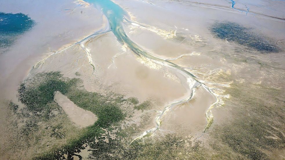 Ein Forschungsteam hat untersucht, wie sich das Wattenmeer verändert hat. (Archivfoto) Foto: Sina Schuldt/dpa