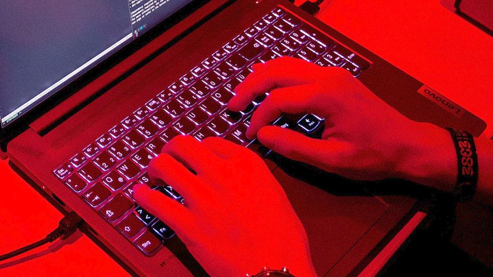 Treiber der Digitalwirtschaft ist laut Bitkom besonders Software. (Symbolbild) Foto: Daniel Bockwoldt/dpa