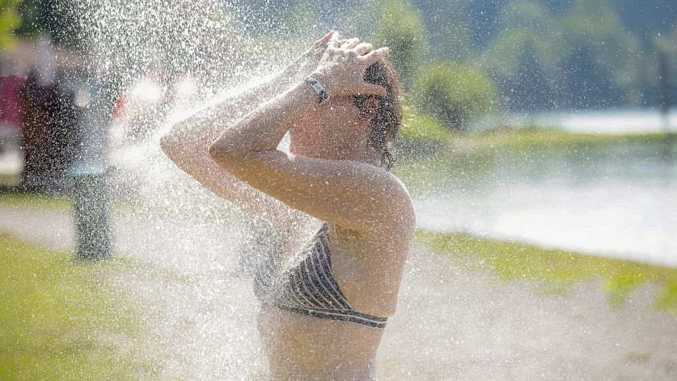 Hitze bremst das Hirnwachstum. Foto: Arne Dedert/dpa