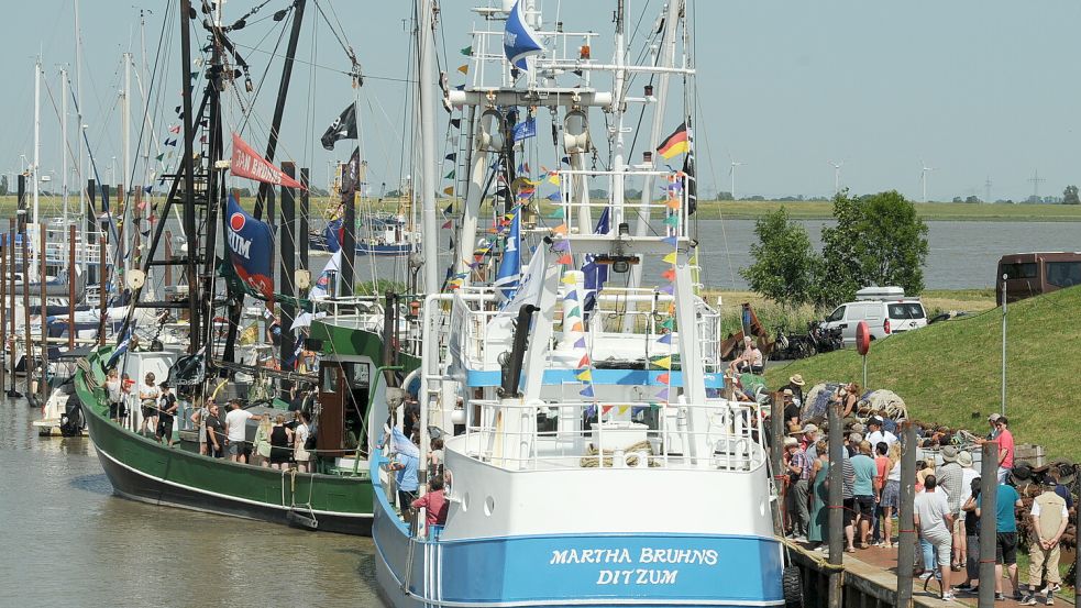 Die Kutter liegen farbenfroh im Hafen von Ditzum. Foto: Bodo Wolters/Archiv
