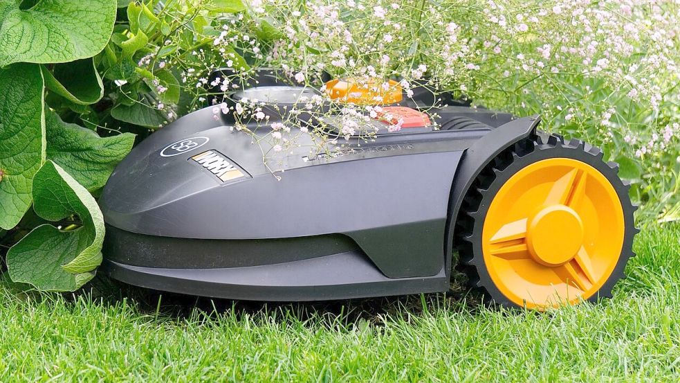 Um Igel in Papenburger Gärten besser zu schützen, wollen die Grünen einen „Nachtschicht-Verzicht“ für Mähroboter durchsetzen. Foto: Pixabay